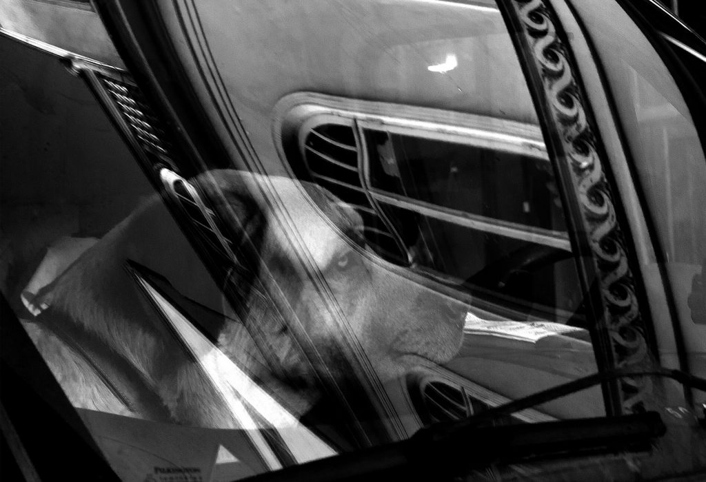 DSC_0019